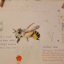4.A - Včela medonosná